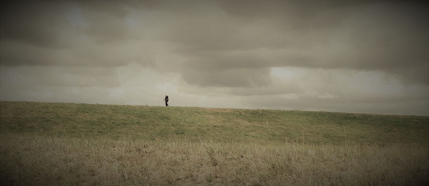A lone person on a desolate Hamburg field, enjoying the tranquility and calm 