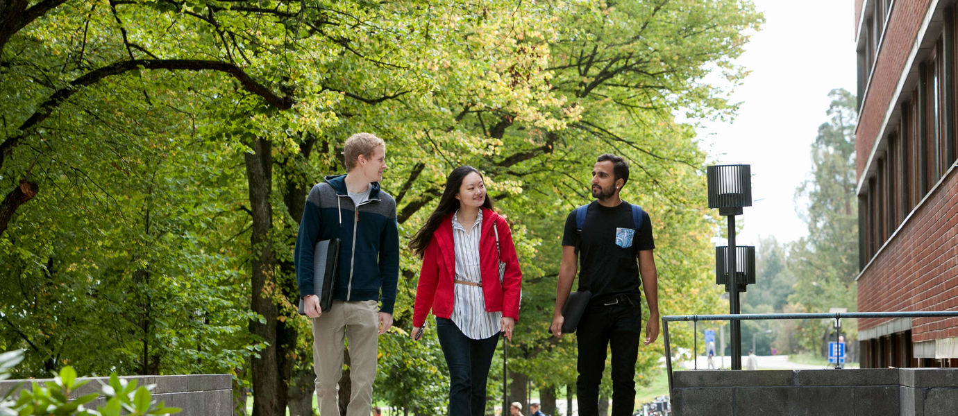 Three students walking in Otaniemi campus next to a lush and green park with large, old trees.
