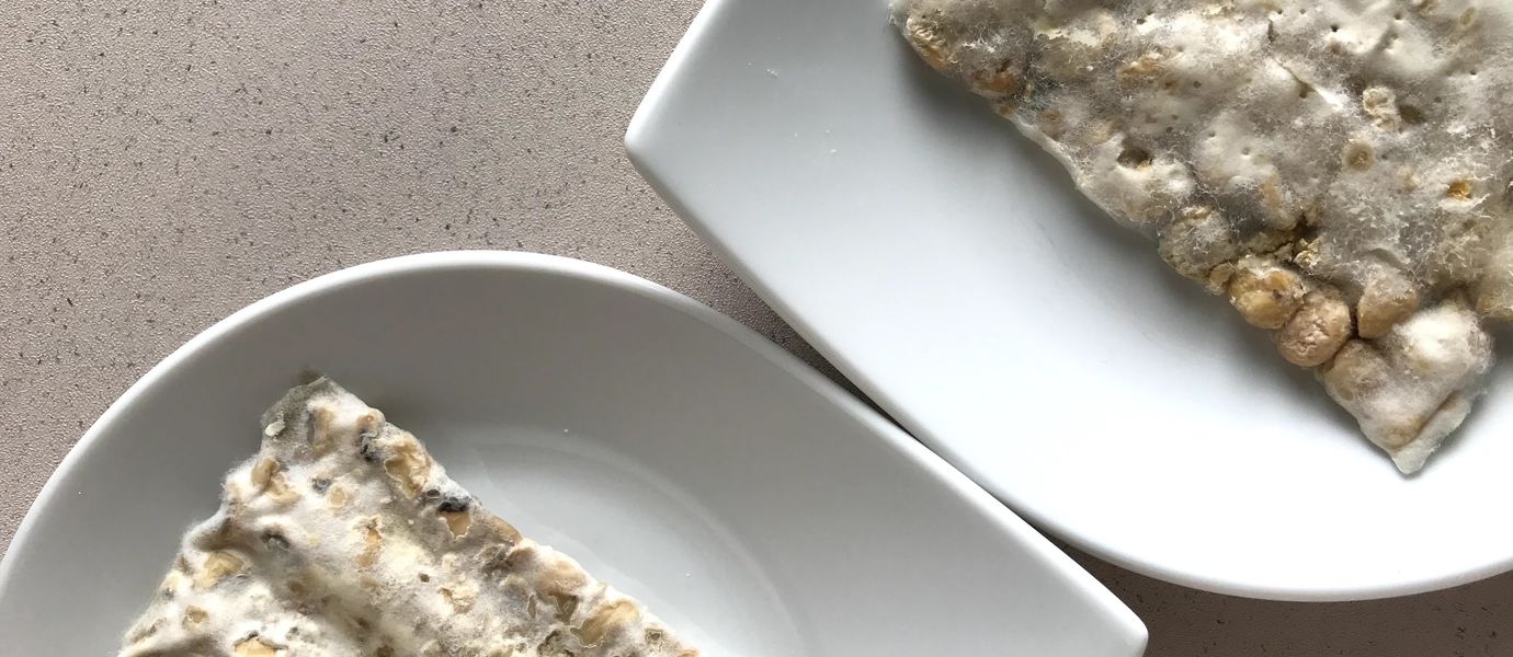 two white plates with tempeh-based biomaterial on them
