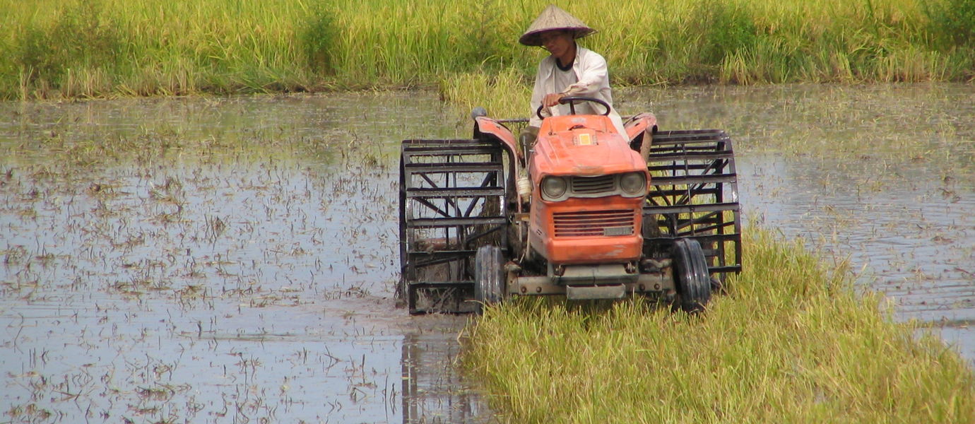 Maanviljelijä ajaa traktoria riisipellolla