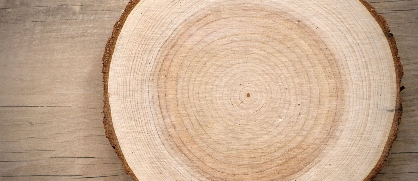 Cross-cut wood disk on a wooden table