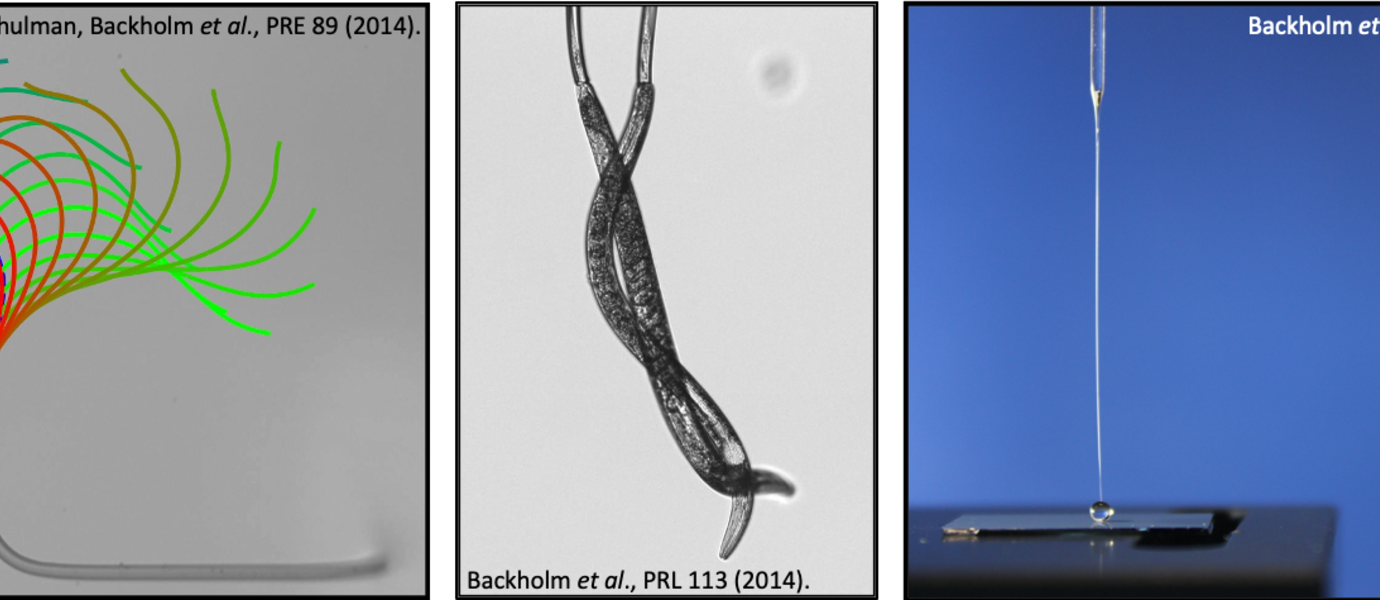 Optical microscopy images from force measurements on tiny worms and water droplets.