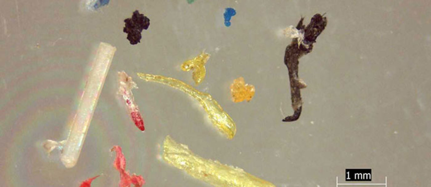 Mikroroskaksi kutsutaan yleisesti alle 5 mm:n kokoista roskaa. Kuva: Julia Talvitie.