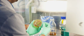 Biotechnology laboratory