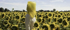 nainen seisoo auringonpaisteessa auringonkukkakedolla keltainen muovipussi päässään
