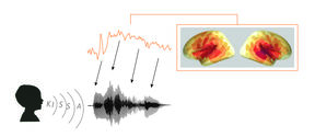 Aivokuori seuraa äänen piirteitä hyvin täsmällisesti ymmärtääkseen puhetta. Kuva: Aalto-yliopisto