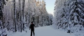 Student James Roney cross-country skiing