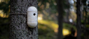 a birdhouse made of mycelium hanging from a tree