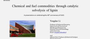 Presentation from Professor Yongdan Li 