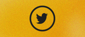 Image visualizing social Media symbol (twitter bird)