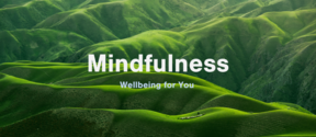 Wellbeing for You Mindfulness