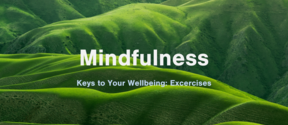 Mindfulness Excercises 