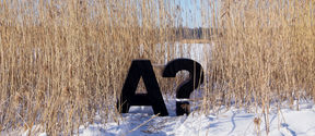 Aalto University_question mark in the snow
