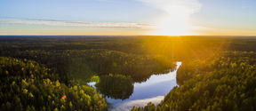 Drone shot of Nuuksio by Visit Espoo