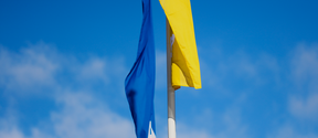 Blue and yellow flags