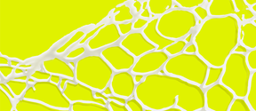 White network on a yellow substrate