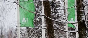 Two green Aalto flags waving on campus in winter.