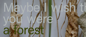 A close up of dry leaves and a text over the image saying “Maybe I wish that you were a forest”