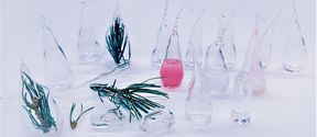 A collection of drop like looking glass objects, some of them empty, some containing pine needles or colour