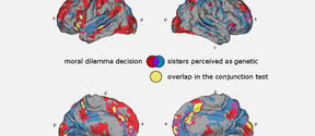 Brain activity for the two tasks of a) deciding to rescue the own sister, a friend, or strangers from a dangerous country in red and b) watching a movie believing to see genetically related sisters in blue.