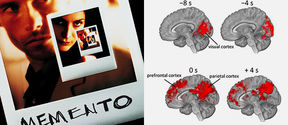 Marked red are the brain regions which process the clue-providing key scenes, both before and while they occur. Anticipatory activity appears on the visual cortex up to eight seconds before the scene begins. During the scenes, there’s fingerprint-like activity in the prefrontal lobe and parietal lobe, both believed to be connected to memory retrieval and reinterpretation of previously seen events.
Memento poster detail (left), (c) Oy Nordisk Film Ab | Image (right): Iiro Jääskeläinen.
