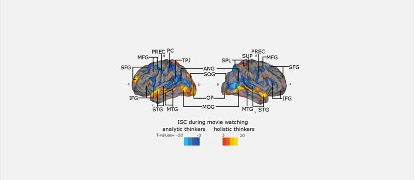 Cold colours indicate higher ISC, more similar brain responses, among the analytical thinkers and warm colours indicate higher ISC among the holistic thinkers. Image: Iiro Jääskeläinen.