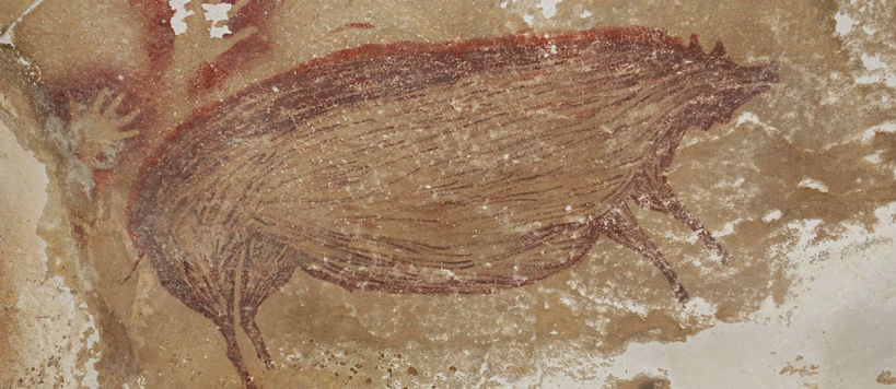 An Indonesian cave painting of a warty pig, sporting a pair of large bumps on its neck