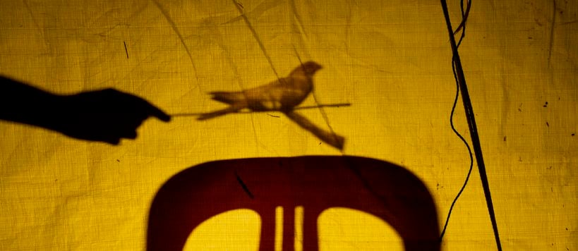 A screenshot from the film with shadows of a chair and a hand projected on a yellow fabric