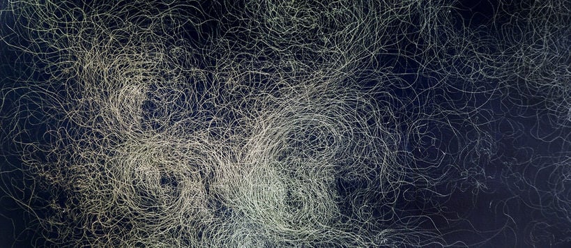 An image of fine lines drawn by the artist Mira Caselius. The lines are light on a dark background, some are concentrated, others are spread sparsely.