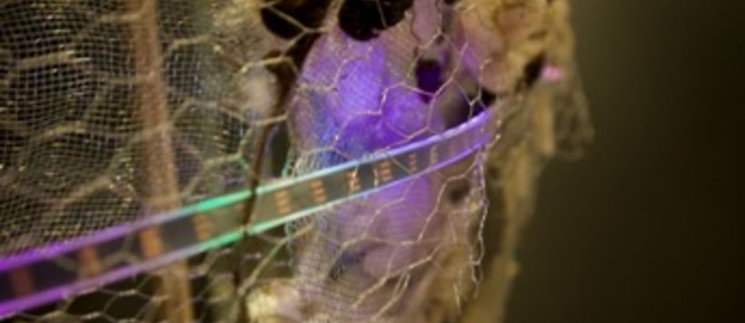 A closeup of a wire mesh and synthetic fabrics illuminated by violet and green led lights.