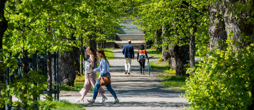 People walking in a summery park