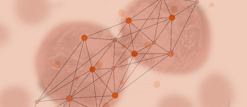An illustration in various shades of red of cells interacting via a network of hubs and spokes. 