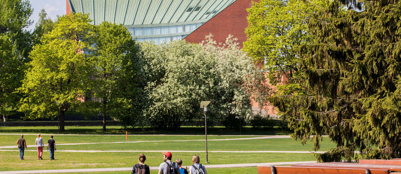 Opiskelijoita kesällä Kandidaattikeskuksen edessä puistossa