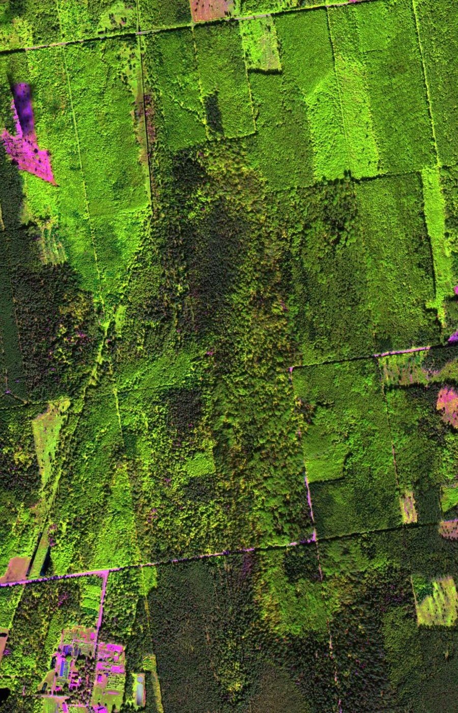 Aerial image of forest and fields