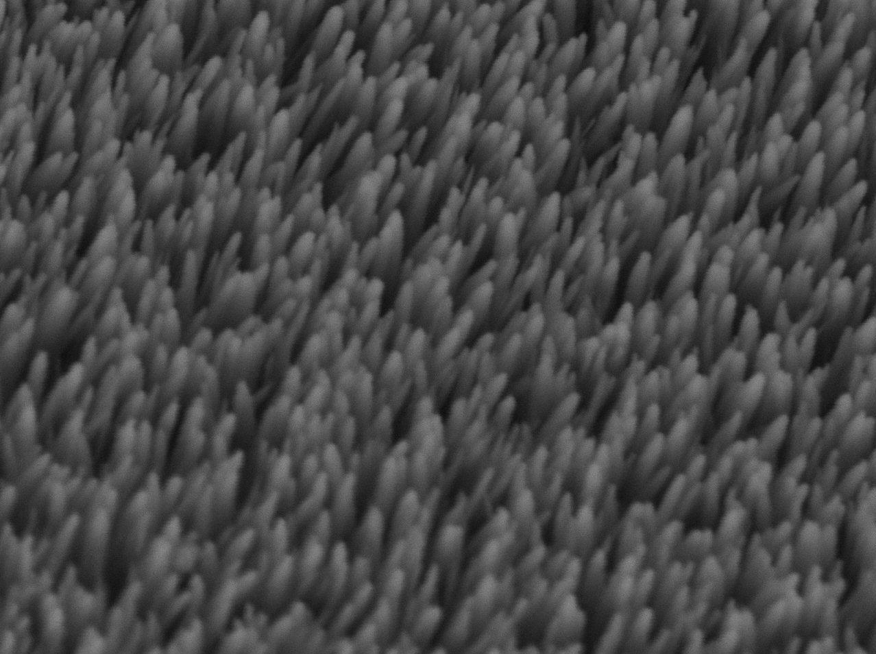 Functional Materials, ZnO nanorods