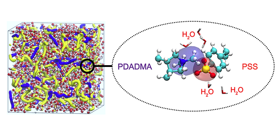 PSS-PDADMA hydrated polyelectrolyte assembly
