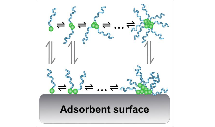Reverse micelle formation and adsorption in apolar solvents