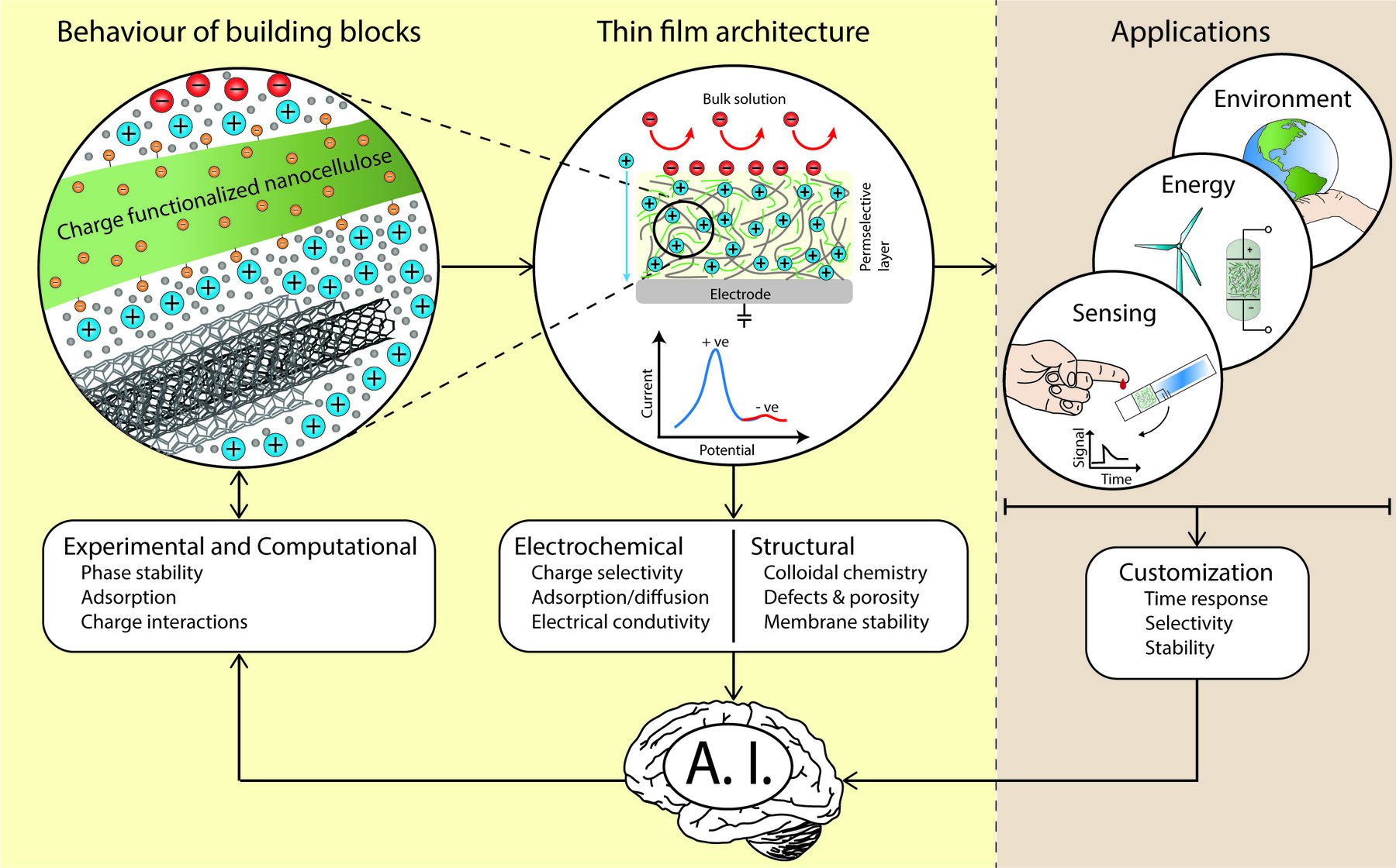 Lignocellulosic Architectures in electrochemistry