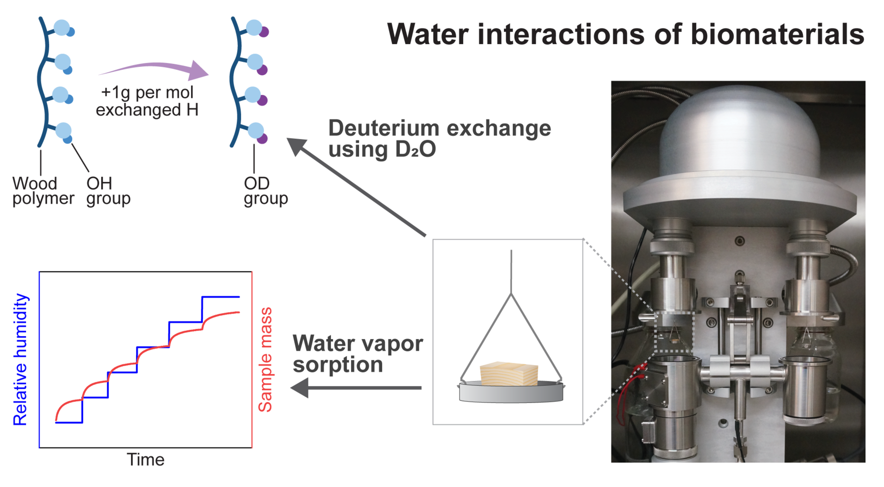CHEM_Bio_Water interactions of biomaterials