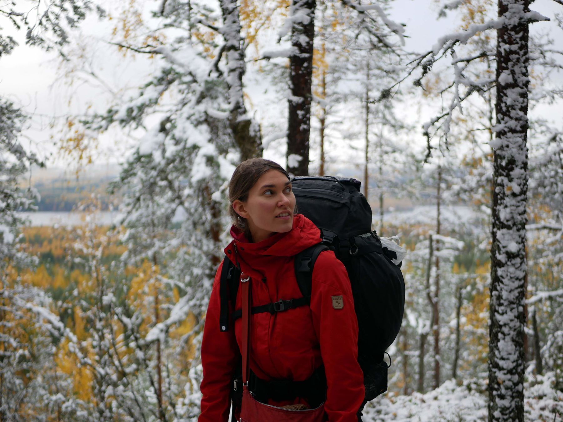 Saara Kantele_The Alder Project_Forest observation