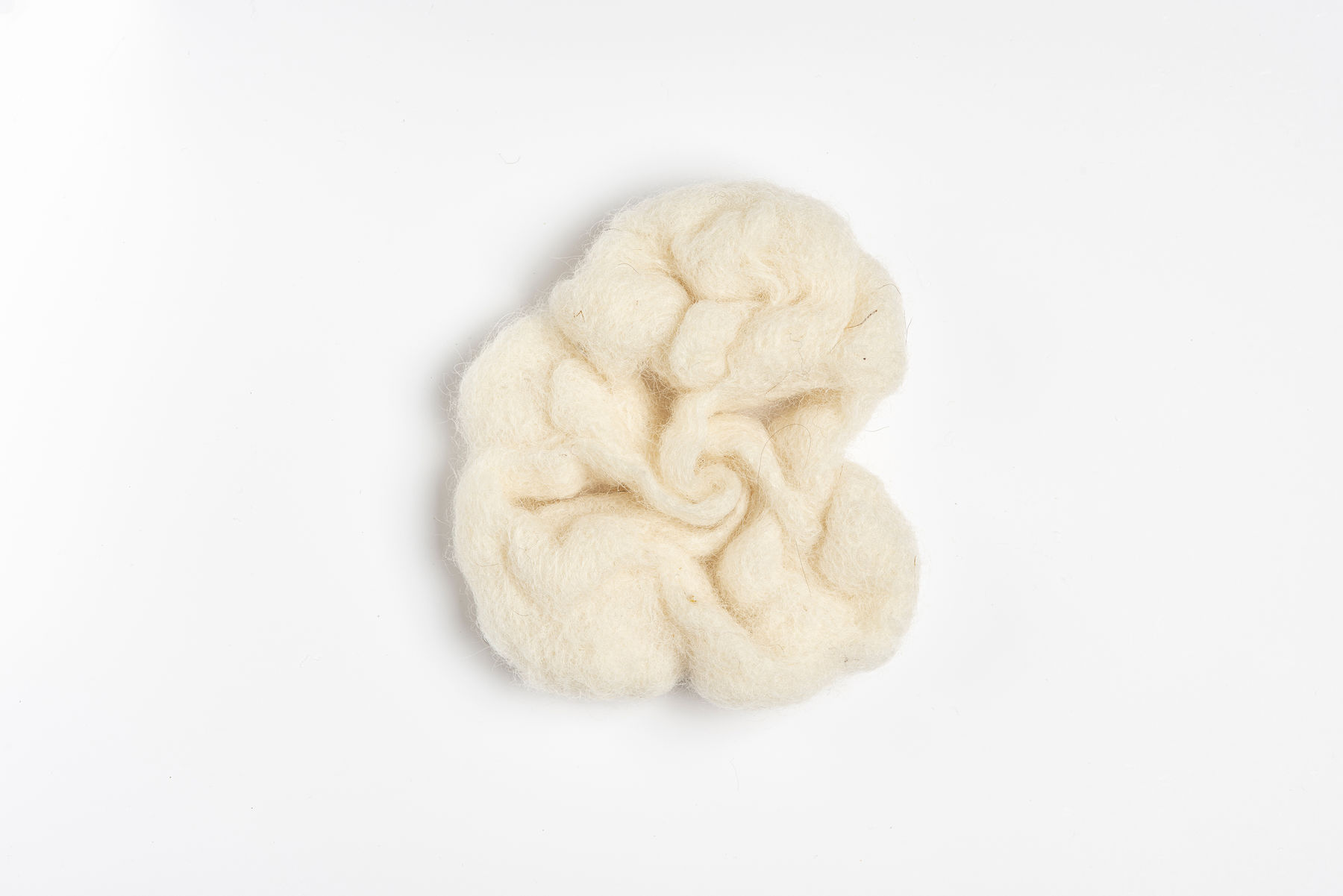 a piece of organic shaped white wool