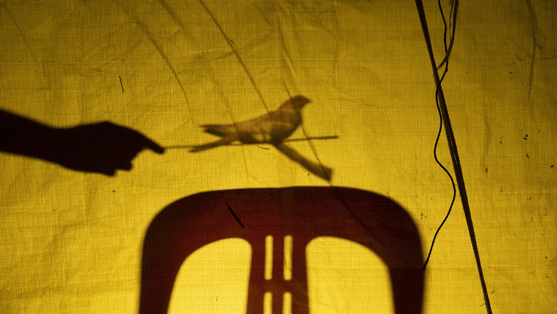 A screenshot from the film with shadows of a chair and a hand projected on a yellow fabric