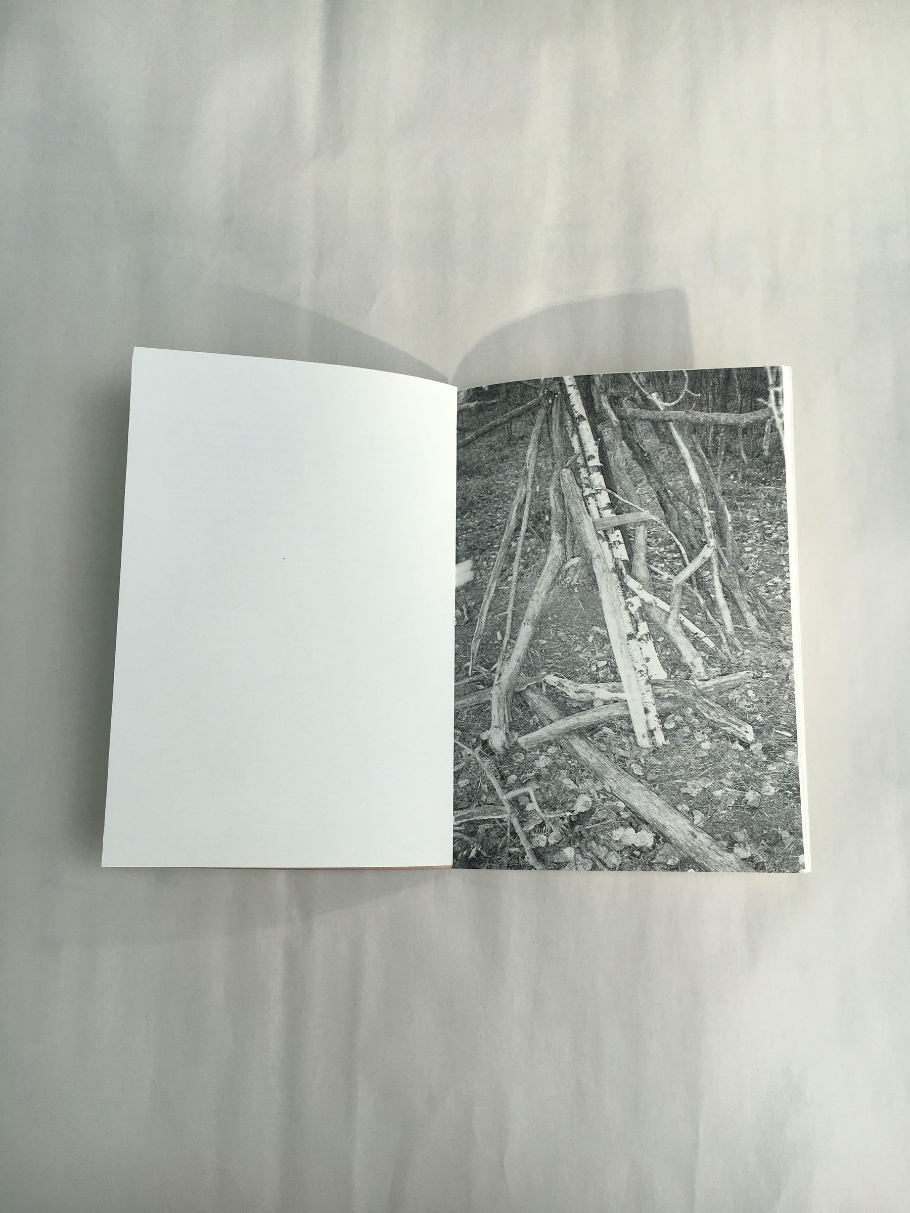 Image of the book The Waiting Room (Practising Building a Nest) against white paper. The book lays open at a page with a black and white image of branches piled together to make a shelter