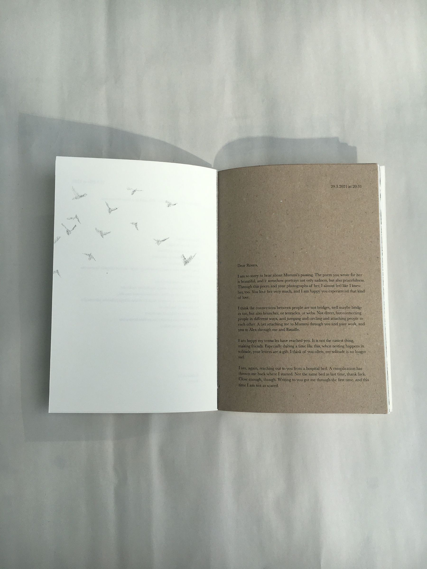 The book lays open against a white background. One page shows an illustration of birds flying; the other page, printed on brown paper, shows a letter from one artist to the other