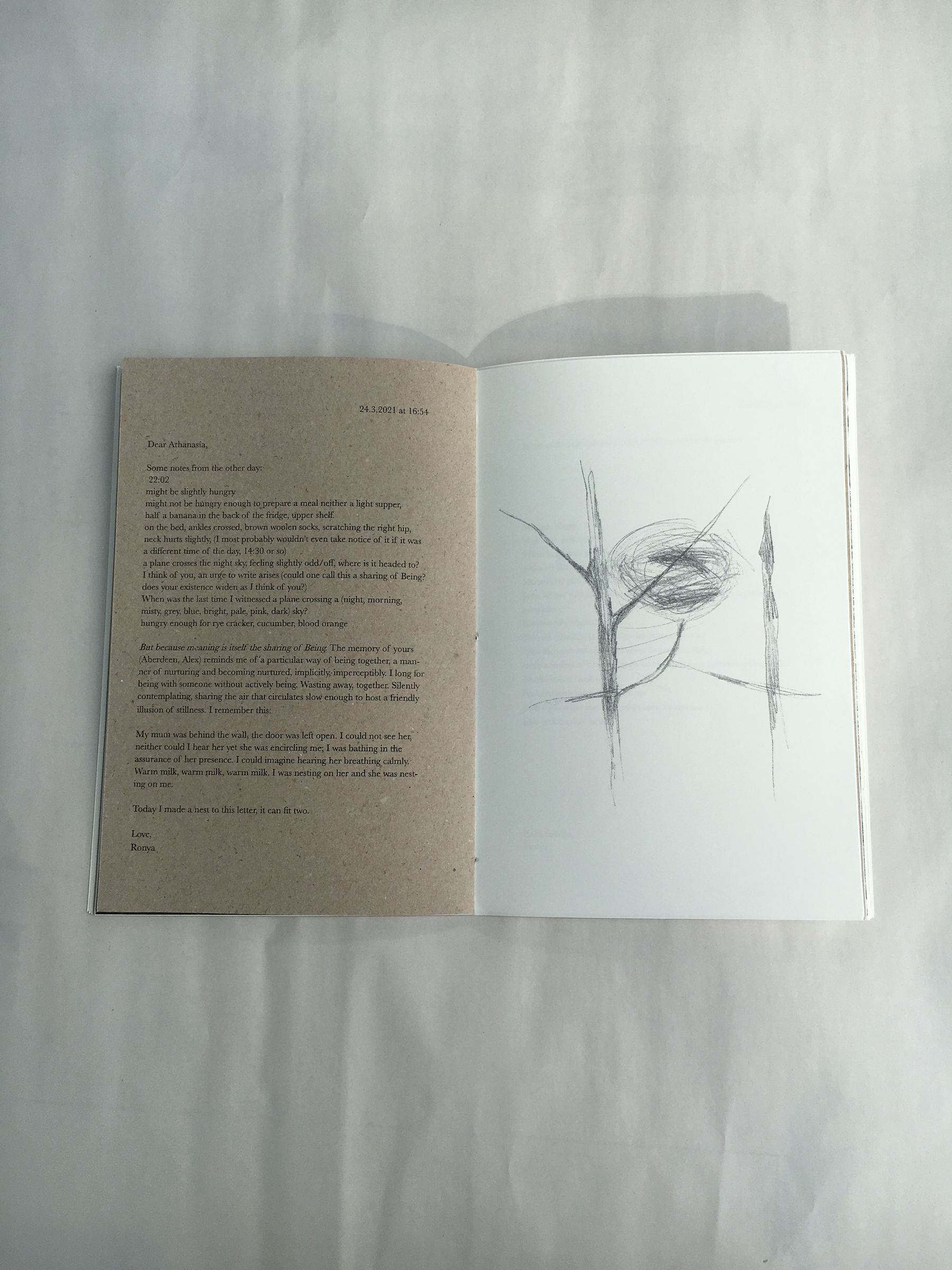 The book lays open at a page of text and a page containing an illustration of a nest.