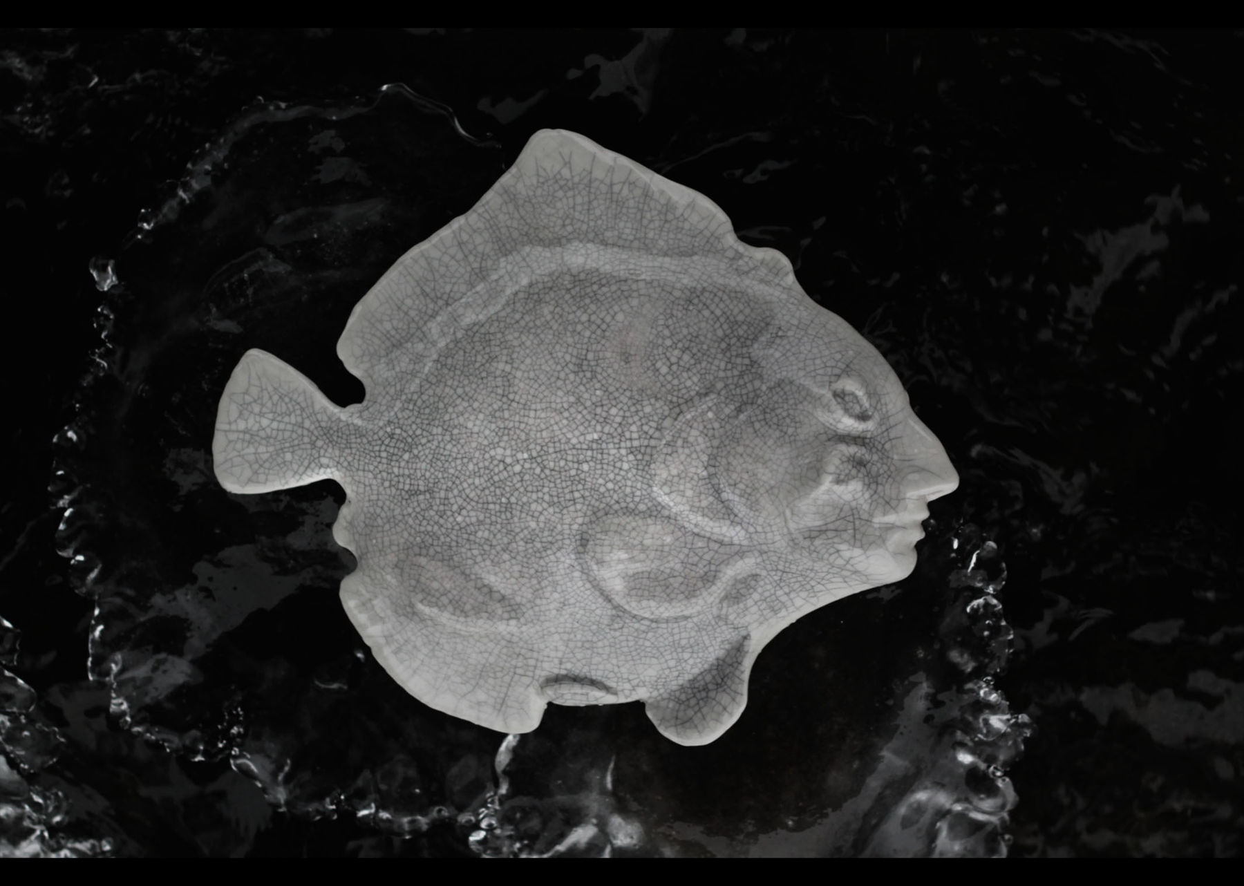 a ceramic fish sculpture lying on dark matter