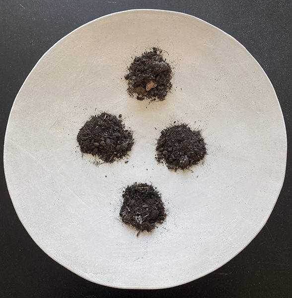 dirt samples of a plate