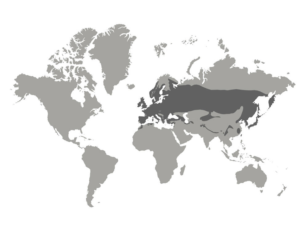 a map of where the bird lives