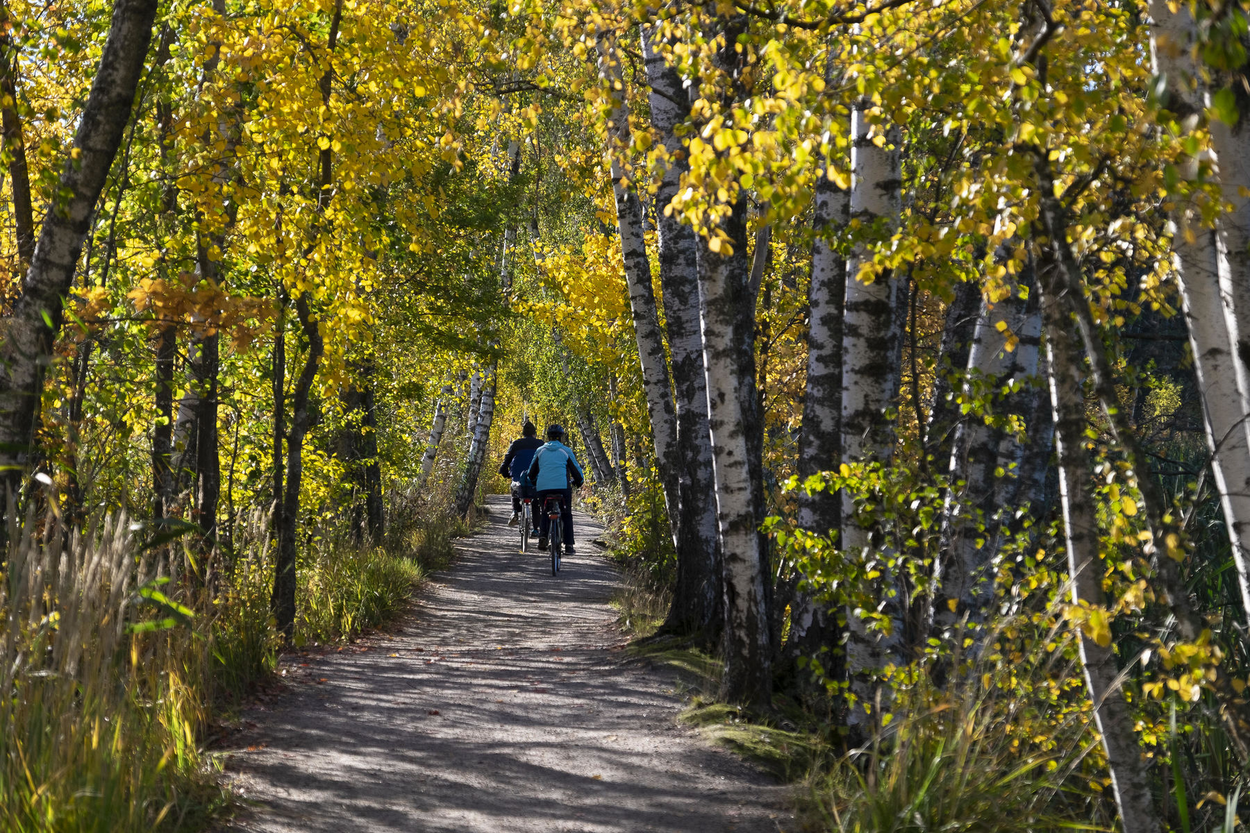 Two cyclists on their bikes with their backs to the camera, cycling on a path through the woods in Otaniemi, autumnal colours