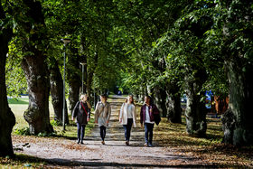 Neljä opiskelijaa kävelemässä puiden reunustamalla kävelytiellä kampuksella.